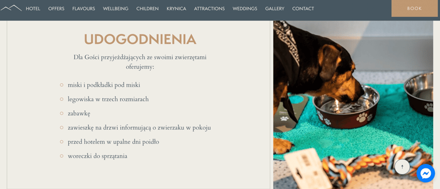 hotel_przyjazny_zwierzetom_f023c39f16