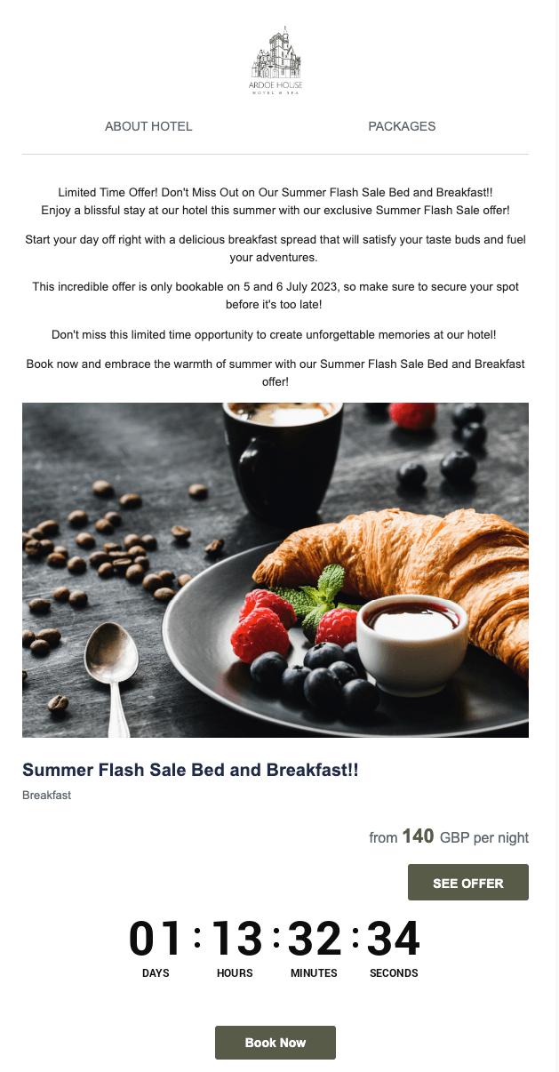 Email flash sale - desktop - EN