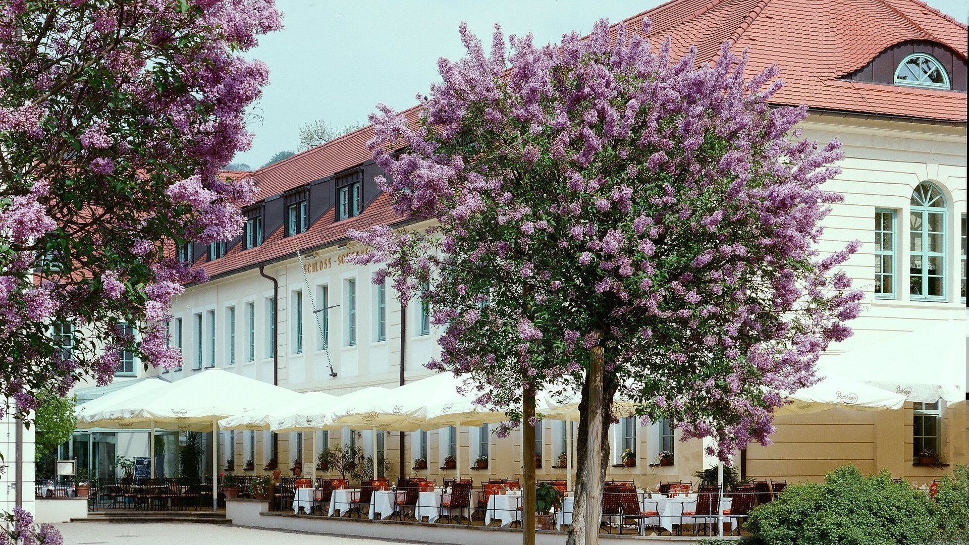 Galerie_Aussenansicht_Schlosshotel_Pillnitz_Bild_2