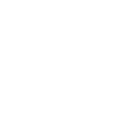 Steyns City Hotel Logo