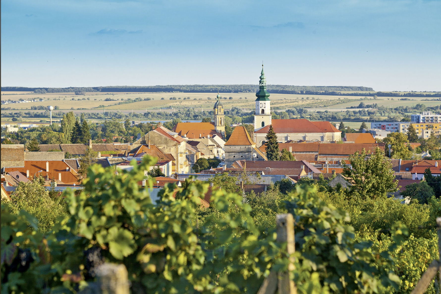 Zrzut ekranu 2025-03-17 o 13.14.08-1