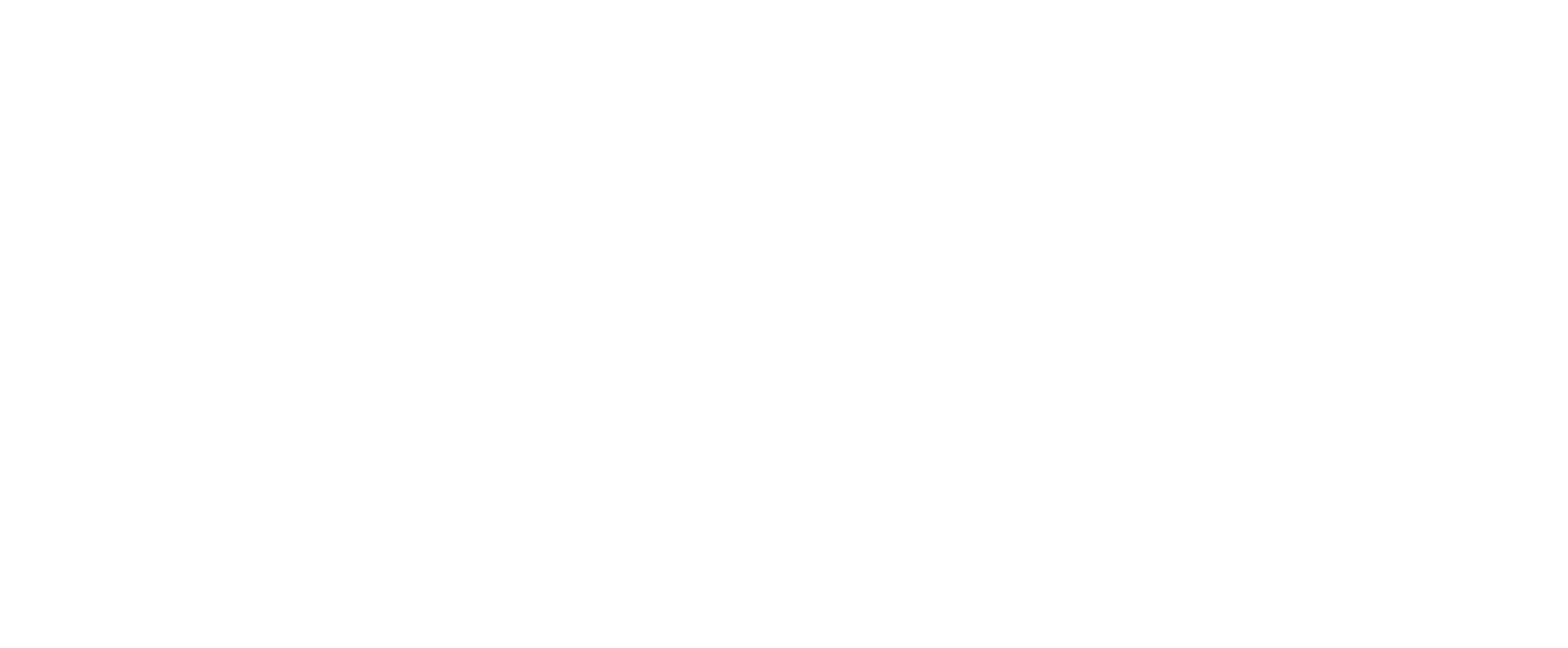 logo_nfhotel_transparent_biale