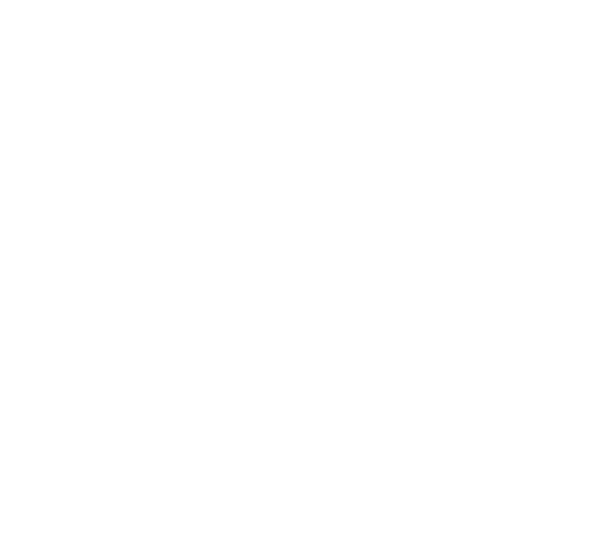 yp_trasnparent_logo-1